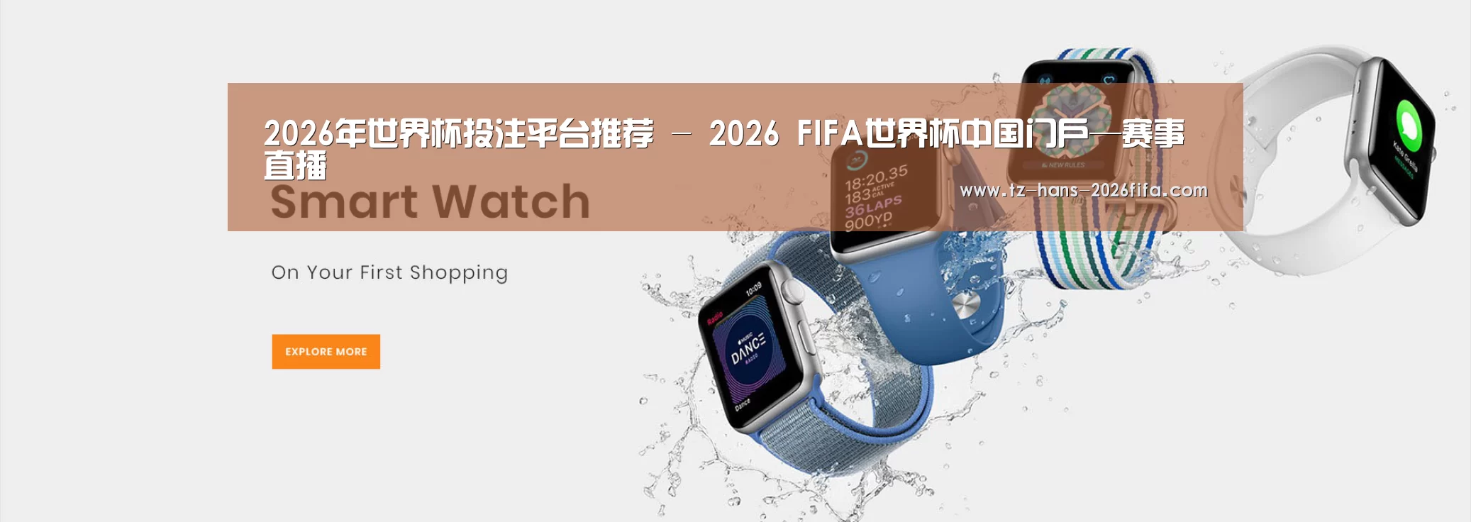 某某网络科技有限公司
