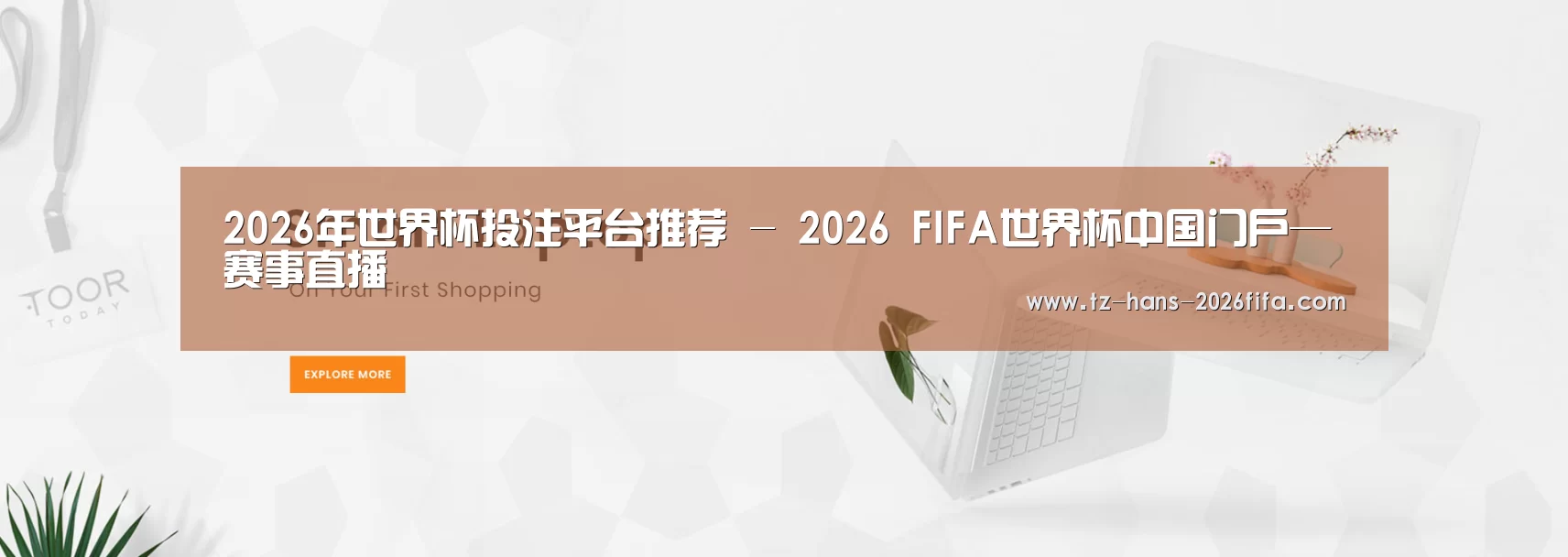 某某网络科技有限公司