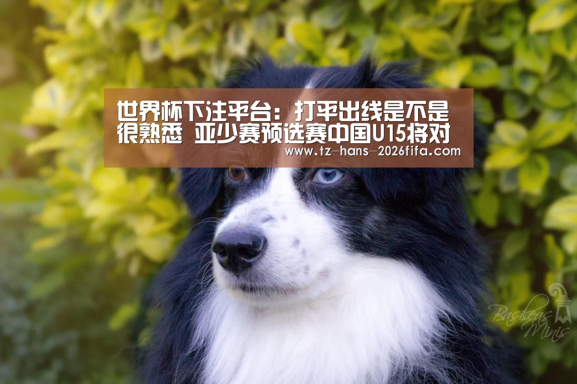 世界杯下注平台:打平出线是不是很熟悉 亚少赛预选赛中国U15将对阵印尼(图3) 世界杯下注平台