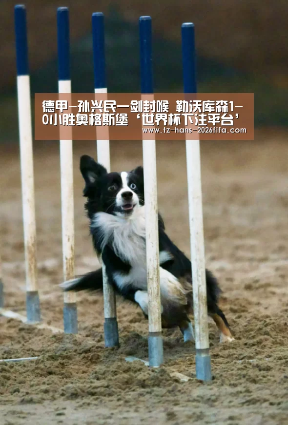 德甲-孙兴民一剑封喉 勒沃库森1-0小胜奥格斯堡‘世界杯下注平台’(图2) 世界杯投注网