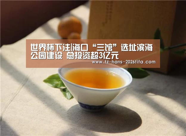 世界杯下注平台