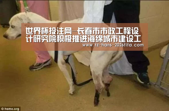 世界杯投注网-长春市市政工程设计研究院积极推进海绵城市建设工作(图2) 世界杯下注平台