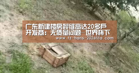 广东新建楼房裂缝高达20多户 开发商:无质量问题-世界杯下注(图1) 世界杯投注网