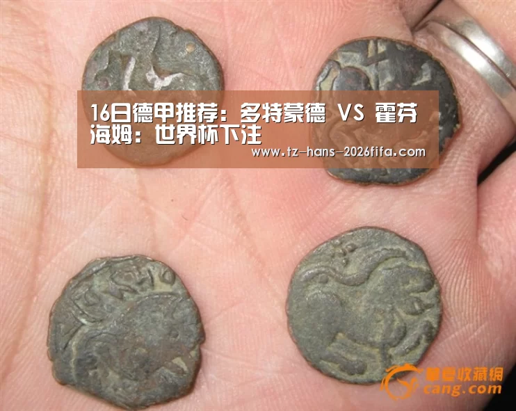 16日德甲推荐:多特蒙德 VS 霍芬海姆:世界杯下注(图1) 世界杯投注网